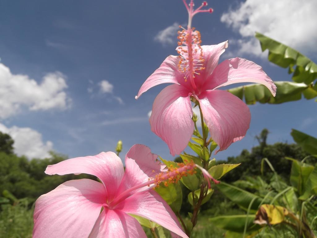 Yoisama Sunrise Beach House Ishigaki  Luaran gambar